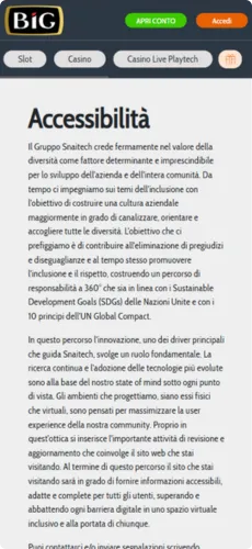 Big Casino Accessibilità