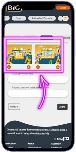 Big Casino Bonus