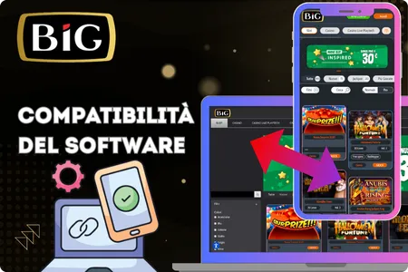 Big Casino software